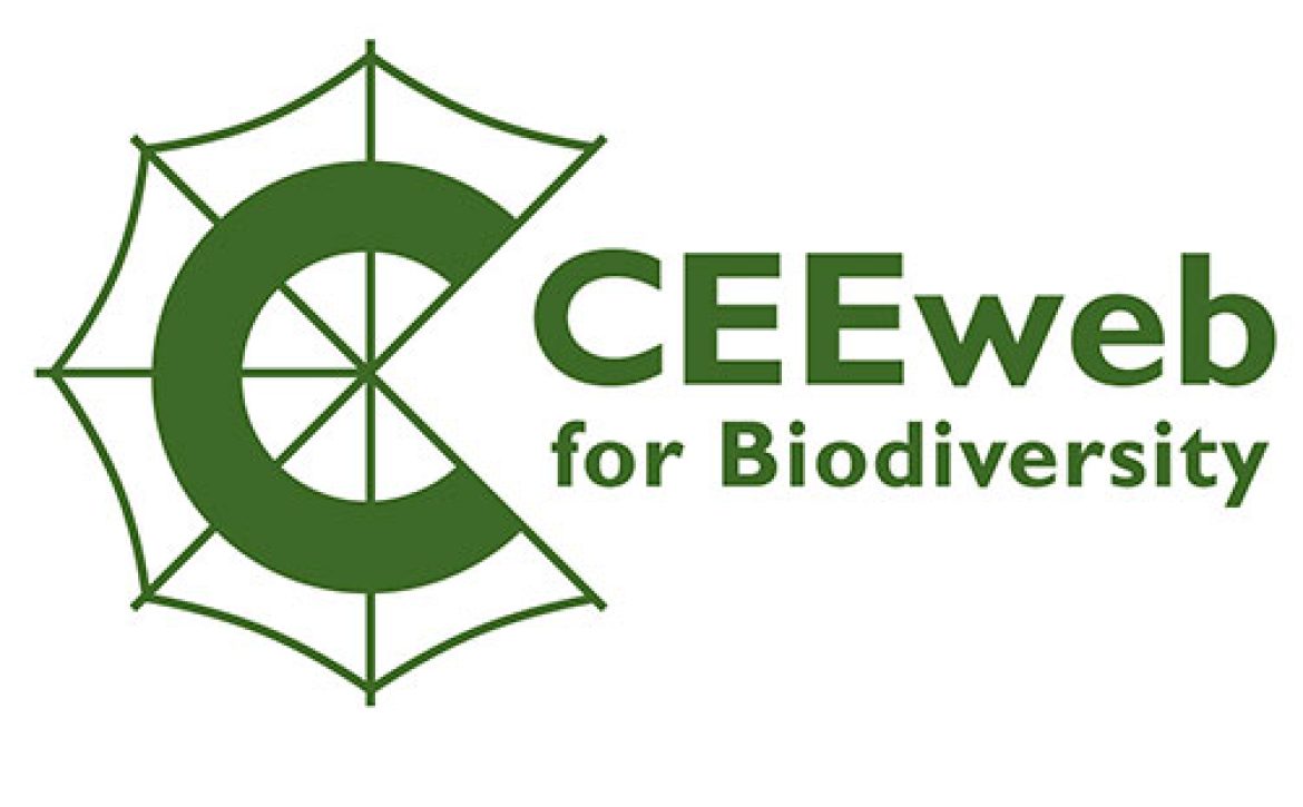 ceeweb-logo